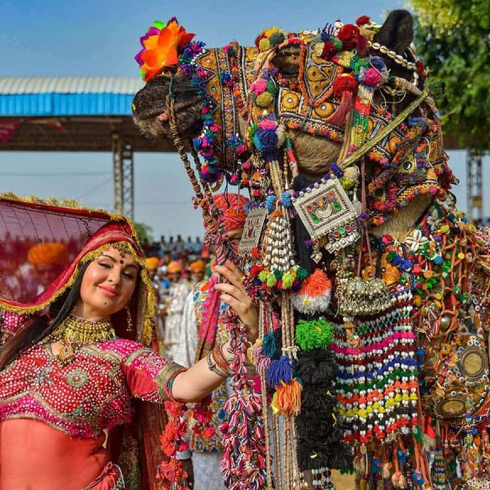 Pushkar ka Mela The Indian Travel Life