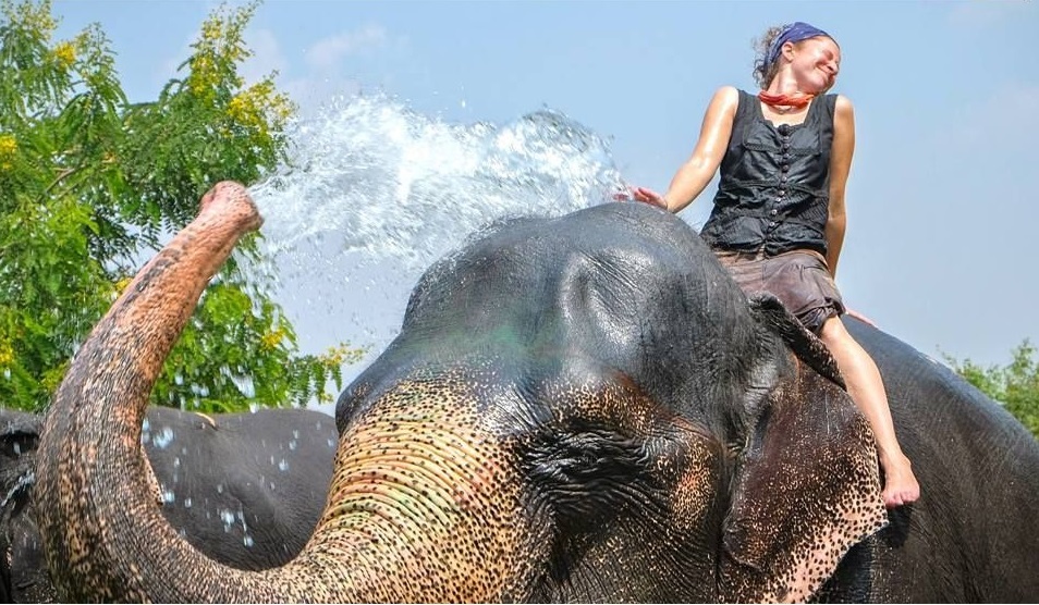 elefantastic-indiaA